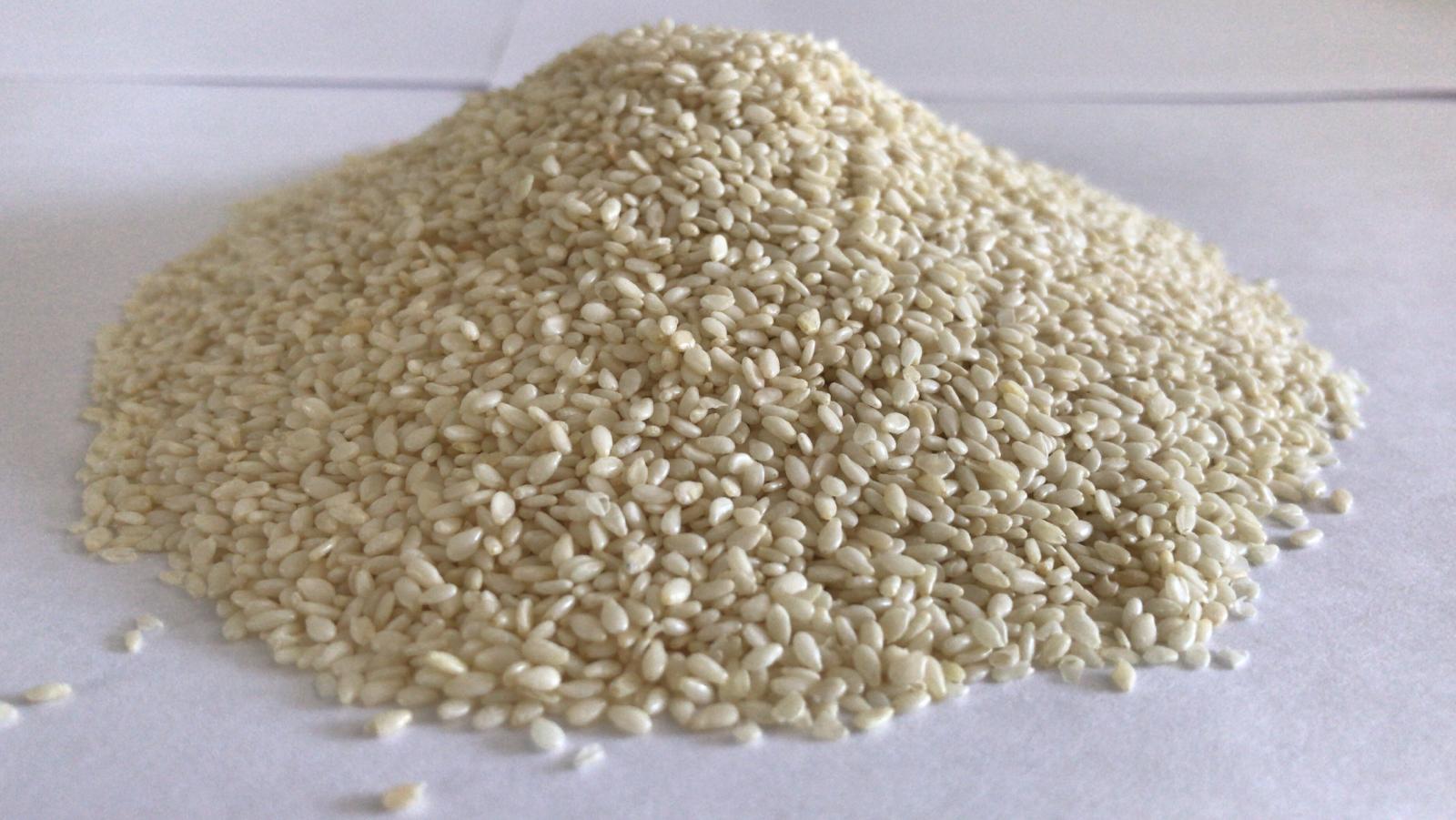 Sesame Seeds ARI SUSAM SAN. VE TIC. A.S. Ingredients Network